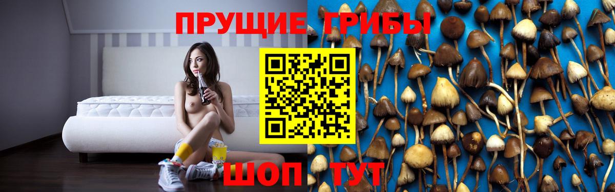 Кинель  Псилоцибиновые грибы Magic Shrooms  Вход с VPN 