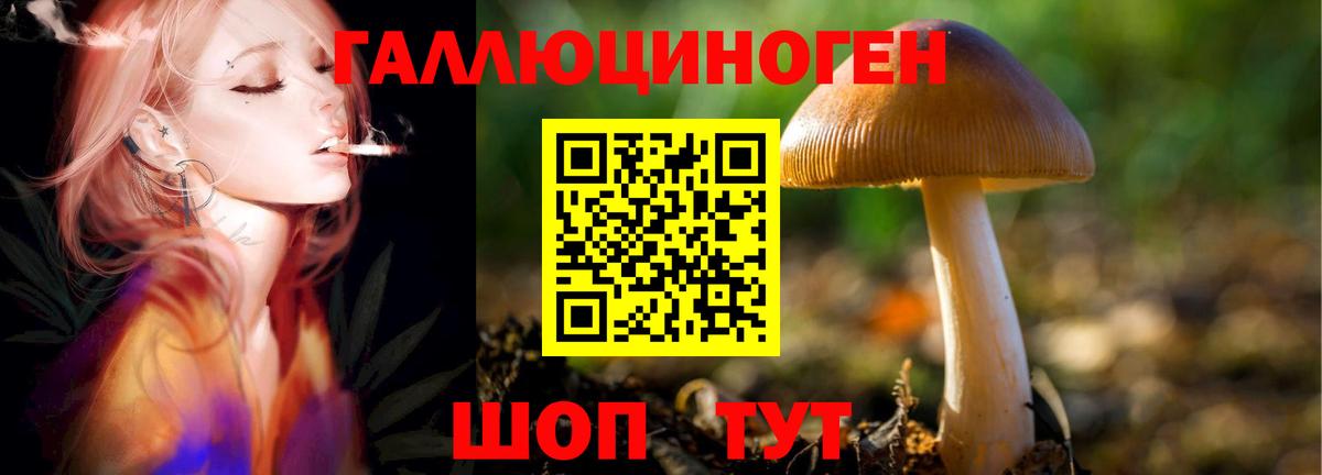 Галлюциногенные грибы мицелий Кинель